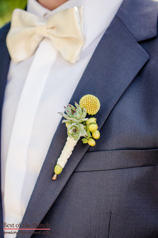 Buttonhole Sundance - Single flower Buttonhole (Boutonniere) - Best of the Bunch Florist Wellington