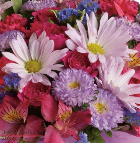 Florists Choice Bouquet For Her - Best of the Bunch Florist Wellington