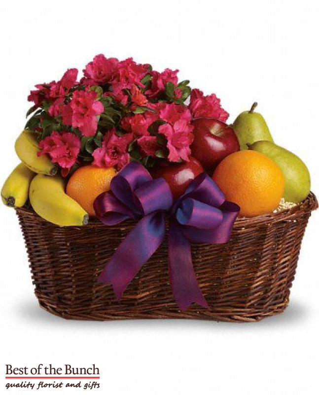 Gift Basket Fruit and flowers gift baskets delivery Wellington. Gift Basket Fruit and flowers gift hampers delivered same day Wellington or New Zealand wide order online. Gift Basket Fruit and flowers gift ideas for her or for him shop online Same day delivery.