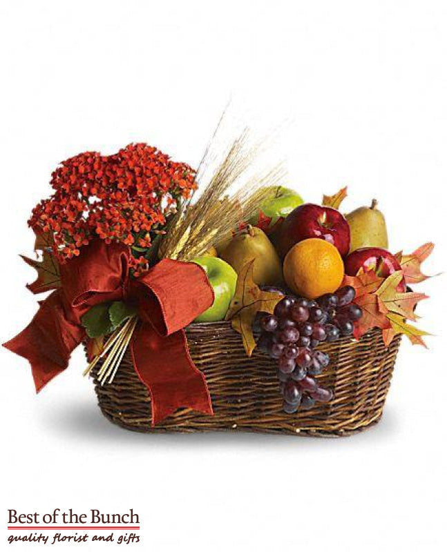 Seasonal Potted Plant & Fruit with grapes gift baskets delivery Wellington. Gift Basket Seasonal Potted Plant & Fruit with grapes gift hampers delivered same day Wellington & New Zealand wide order online