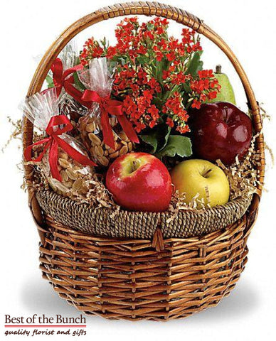 The Healthy Fruit and Nuts gift baskets delivery Wellington. Gift Basket The Healthy Fruit and Nuts gift hampers delivered same day Wellington & New Zealand wide order online.